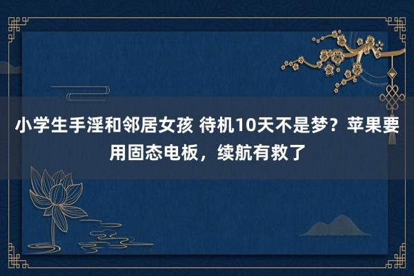 小学生手淫和邻居女孩 待机10天不是梦？苹果要用固态电板，续航有救了