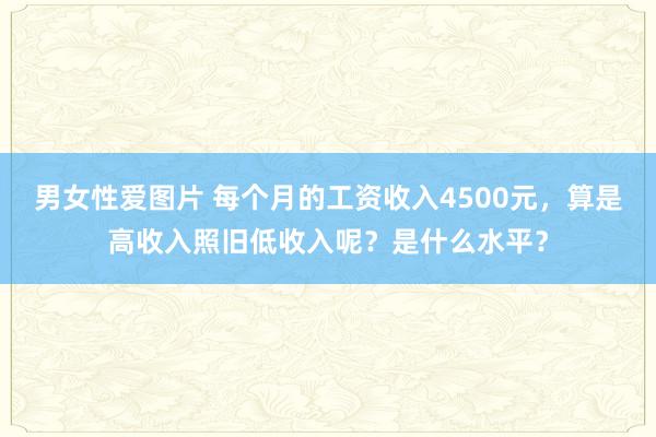 男女性爱图片 每个月的工资收入4500元，算是高收入照旧低收入呢？是什么水平？