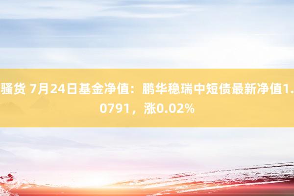 骚货 7月24日基金净值：鹏华稳瑞中短债最新净值1.0791，涨0.02%