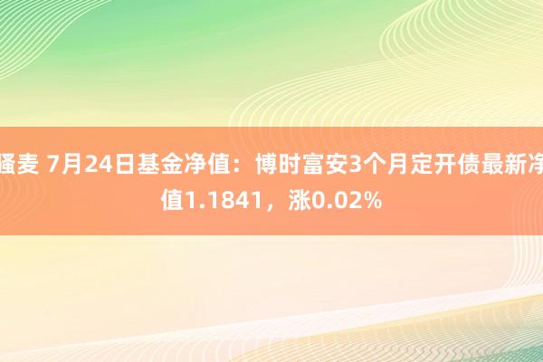 骚麦 7月24日基金净值：博时富安3个月定开债最新净值1.1841，涨0.02%