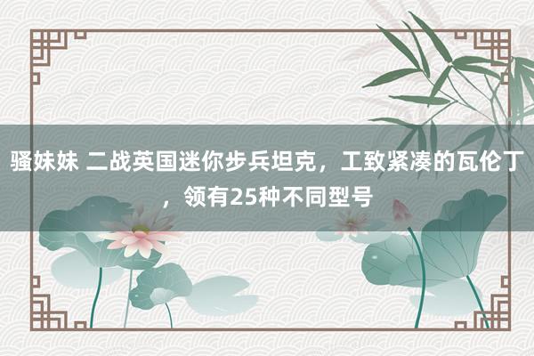 骚妹妹 二战英国迷你步兵坦克，工致紧凑的瓦伦丁，领有25种不同型号