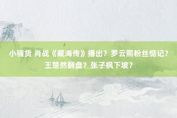 小骚货 肖战《藏海传》播出？罗云熙粉丝惦记？王楚然翻盘？张子枫下坡？