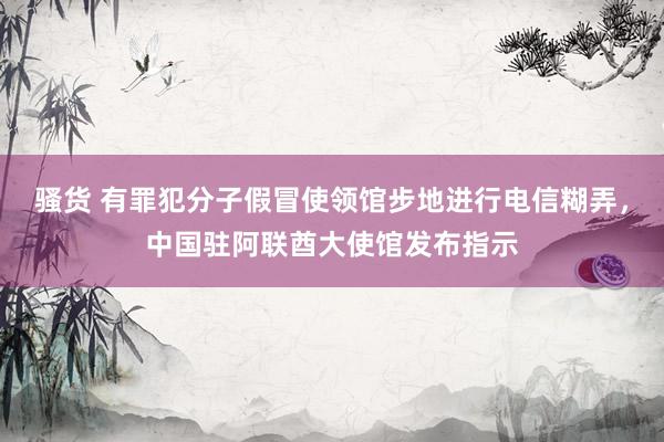 骚货 有罪犯分子假冒使领馆步地进行电信糊弄，中国驻阿联酋大使馆发布指示