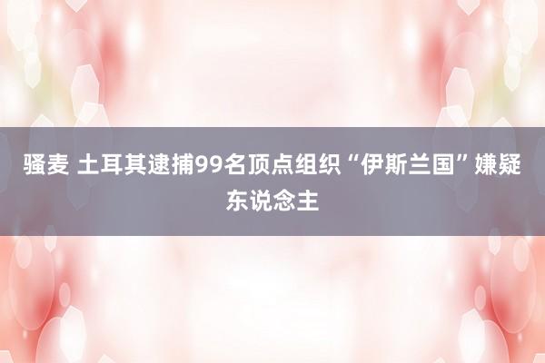 骚麦 土耳其逮捕99名顶点组织“伊斯兰国”嫌疑东说念主