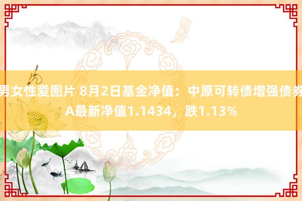 男女性爱图片 8月2日基金净值：中原可转债增强债券A最新净值1.1434，跌1.13%