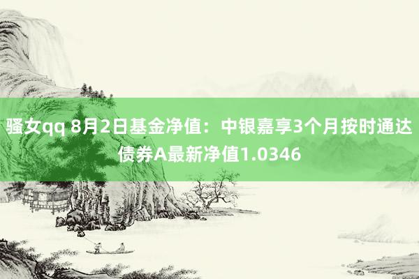 骚女qq 8月2日基金净值：中银嘉享3个月按时通达债券A最新净值1.0346