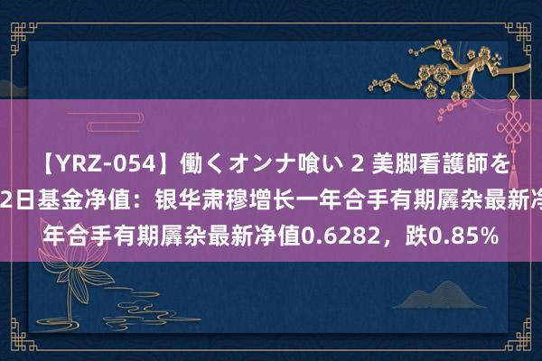 【YRZ-054】働くオンナ喰い 2 美脚看護師を食い散らかす！！ 8月2日基金净值：银华肃穆增长一年合手有期羼杂最新净值0.6282，跌0.85%