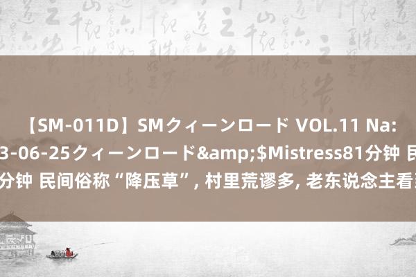 【SM-011D】SMクィーンロード VOL.11 Na:Na</a>2013-06-25クィーンロード&$Mistress81分钟 民间俗称“降压草”， 村里荒谬多， 老东说念主看到就挖走， 因为作用多