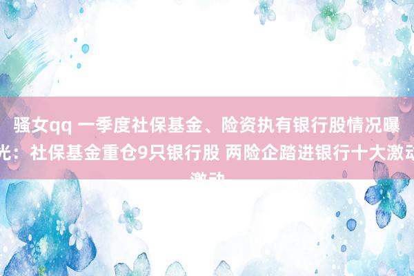 骚女qq 一季度社保基金、险资执有银行股情况曝光：社保基金重仓9只银行股 两险企踏进银行十大激动