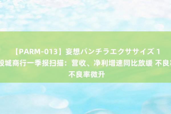 【PARM-013】妄想パンチラエクササイズ 17家A股城商行一季报扫描：营收、净利增速同比放缓 不良率微升