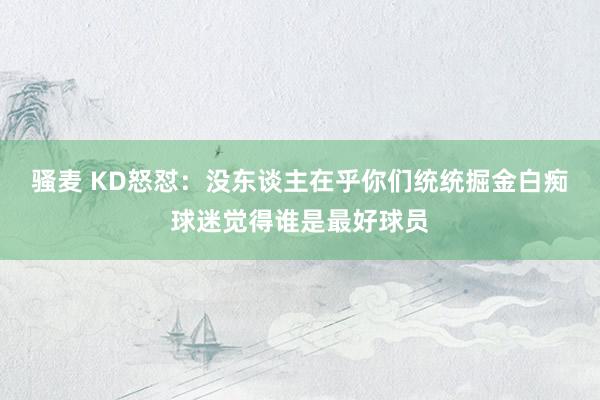 骚麦 KD怒怼：没东谈主在乎你们统统掘金白痴球迷觉得谁是最好球员