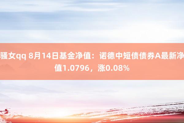 骚女qq 8月14日基金净值：诺德中短债债券A最新净值1.0796，涨0.08%