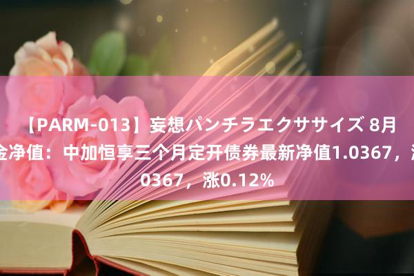 【PARM-013】妄想パンチラエクササイズ 8月14日基金净值：中加恒享三个月定开债券最新净值1.0367，涨0.12%