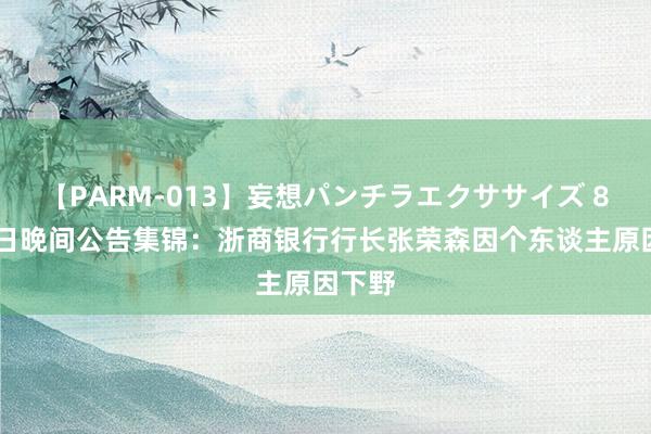 【PARM-013】妄想パンチラエクササイズ 8月18日晚间公告集锦：浙商银行行长张荣森因个东谈主原因下野