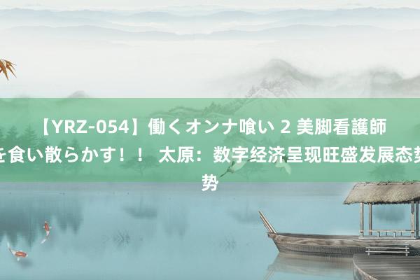 【YRZ-054】働くオンナ喰い 2 美脚看護師を食い散らかす！！ 太原：数字经济呈现旺盛发展态势