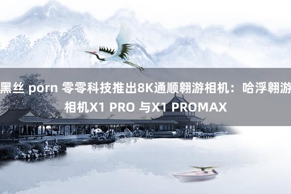 黑丝 porn 零零科技推出8K通顺翱游相机：哈浮翱游相机X1 PRO 与X1 PROMAX