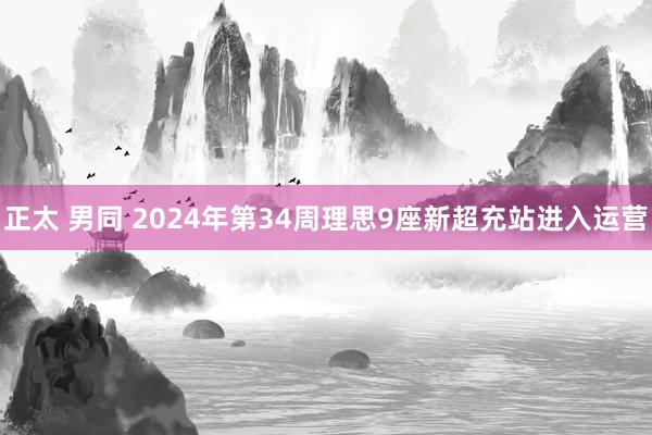 正太 男同 2024年第34周理思9座新超充站进入运营