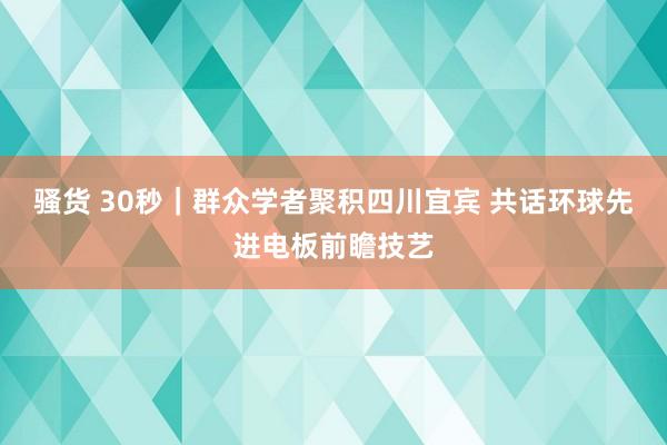 骚货 30秒｜群众学者聚积四川宜宾 共话环球先进电板前瞻技艺