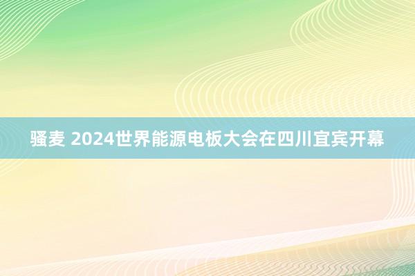 骚麦 2024世界能源电板大会在四川宜宾开幕