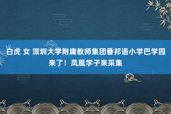 白虎 女 深圳大学附庸教师集团番邦语小学巴学园来了！凤凰学子来采集