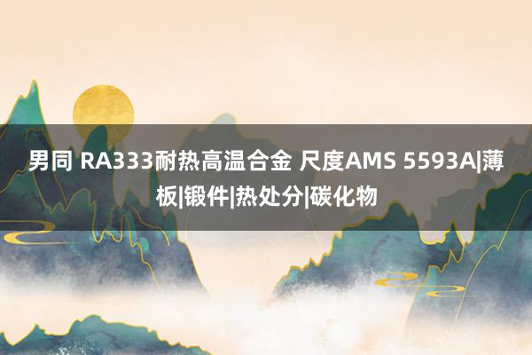 男同 RA333耐热高温合金 尺度AMS 5593A|薄板|锻件|热处分|碳化物